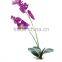 wholesale 15-150cm artificial flowers, artificial orchid,artificial plants