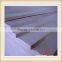 poplar plywood