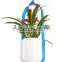 LED decoration light with plant