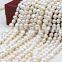 yuansheng freshwater loose baroque pearls in bulk                        
                                                Quality Choice