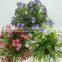 China new product outdoor tree bonsai for garden decoration