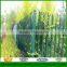 Factory Directly Sale Hot Dipped Galvanized and PVC Coated Europ Fence and Fence Gate