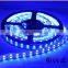 Double row Silicone Tube LED strip 24V Blue 240Leds SMD 3528 flex led strip tape light