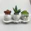 Popular Sale Vivid Look Artificial Cactus Succulents Plant Bonsai for Table Centerpieces