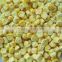 Supply fozen dried sweet corn with good quality with good quality for sale