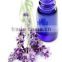 lavender essential Oil from Borg Export