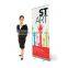 Model 2 display roll up banner stand with aluminum feet