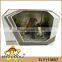 prehistoric jurassic park plastic dinosaur toy model with sound