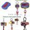 Electronic hanging scale switch membrane flat button graphic overlays