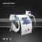 Skin Lifting Cryolipolysis Fat Freezing Beauty Machine Fat Melting For Fat Reduction In Multifunctional Beauty Machine