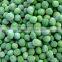 IQF/ Frozen fresh green peas Grade A/B in 2015