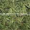 Stevia Extract Reb A with good quality