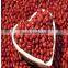 JSX Brand New adzuki beans china supply cheap price red mung beans