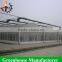 Desert and semi-arid greenhouse for tomato lettuce strawberry