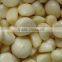 High Efficient Garlic Peeling Machine