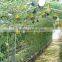 Liquid Fertilizer