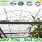 commercial tunnel tomato greenhouse