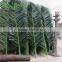 SJLJ013781 Guangzhou factory direct selling artificial foliage leaves high simulation artificial palm tree leaves