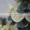 hot sale brand name decorative artificial decoration leaves