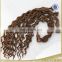 Wholesale Keratin Flat Tip Hair extension ,brown color curly hair extension no shed&tangle,flat tip human remy hair extensio