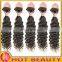Hot Beauty Best One Donor Brazilian virgin human hair Long-term Curls