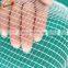 Mesh size 7.8*2.8 mm leno anti insect net hailnet for apples