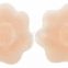 Reusable Silicone Nipple Covers       Best Reusable Pasties       Gel Silicone Nipple Covers