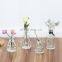 Tabletop Decoration Wholesale Nordic Terrarium Home Wedding Creative Unique Mini Glass Vase Pot Decorative Flower Bottle