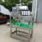 TEKBREW Small Type Beer Glass Bottle Filling and Capping Machine