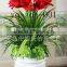the evergreen leaves large leaf artificial green plants and artificial flowers for indoor decoration