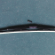 Higer bus wiper blade windshield wiper original 37V03-28602 spare parts