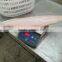 mahi mahi fillets skin-on, blood line-in,EU chemical treated,PBO