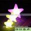LED light art craft with remote control YXF-2107F