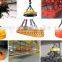 circular lifting electromagnet