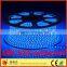 AC 110V/220V SMD 5050 60LEDs/M 1000LM/M IP68 10mm PCB with CE/RoHS/LVD RGB LED strip