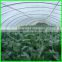 250micron anti fog anti drip plastic greenhouse film uv protection greenhouse cover