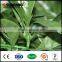 vertical plastic garden screen panels artificial privacy wall