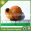 Resin 3D Fridge Magnet , Fruit Fridge Magnet , Promotional Fridge Magnet