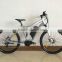 new popular longwise electric bike