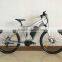 2015 HOT SELLING electric bike integrated with EN15194                        
                                                Quality Choice