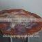 Petrified wood slabs, tables and decoration