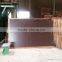 6mm-18mm Vietnamese plywood
