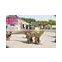 Dinosaur Riding Outdoor Entertainment Equipment