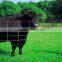 cbl-hhj71 fence,removable garden fence,horse fence,mesh fence,cheap farm fence,safety fence for pool,cattle fence