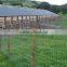 Cattle Sheep Annimal Fence/field Fence (manufacture)