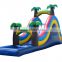 Professional Supplier Giant Inflatable Slide, Giant Inflatable Water Slide With pool