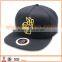 Famous fitted flat bill brand cotton running cap