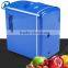 Mini Fridge 4L Mobile Home Fridge Freezer Car Fridge ABS Fridge Cooler and Warmer Refrigerator