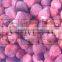 IQF Strawberry