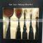 Newest Plastic Handle 5pieces Multipurpose Toothbrush Shape Oval Makeup Brush Set Wholesale